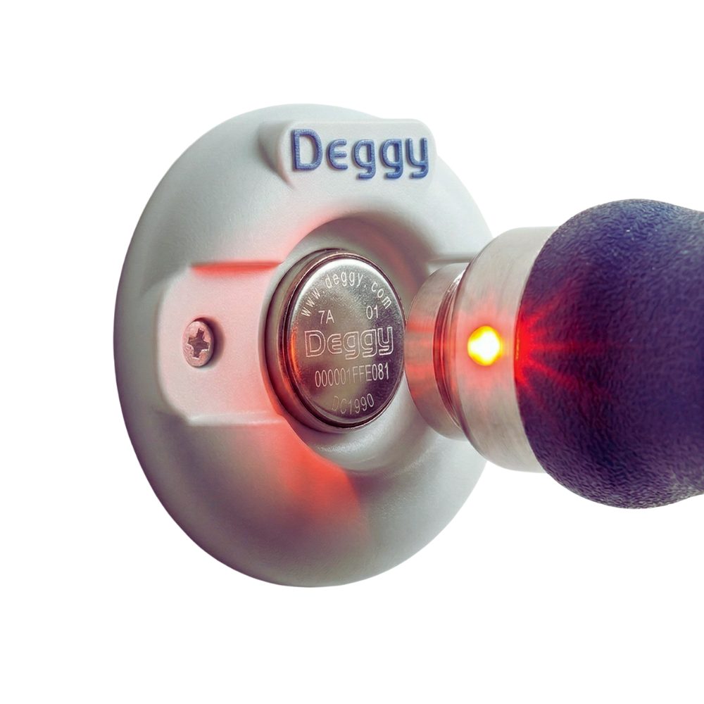 Deggy Steel Pen scanning Deggy Button checkpoint